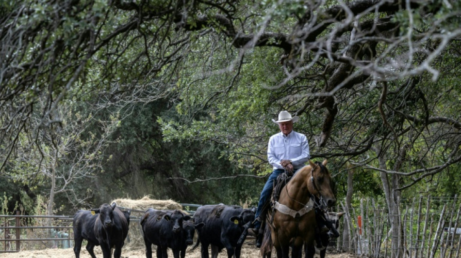  Au Texas, des &eacute;leveurs d&eacute;&ccedil;us par Trump sur la question du boeuf import&eacute; 