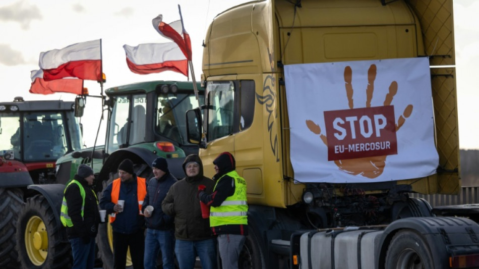 Irland will gegen Mercosur-Abkommen stimmen - dennoch Mehrheit f&uuml;r Handelsabkommen