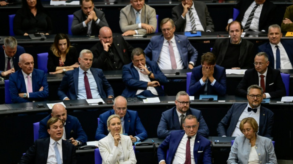  CDU-Politiker Rhein fordert Ausschussposten im Bundestag f&uuml;r AfD 