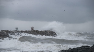 L'acqua del mare per l'agricoltura vince Mad for Science 2025