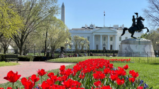Inculpan por "amenaza" a conductor de cami&oacute;n que embisti&oacute; barrera cerca de la Casa Blanca