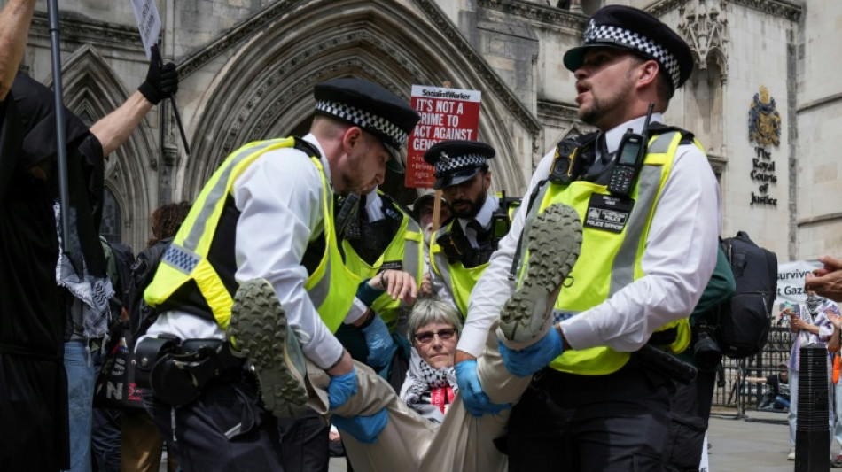  UK's highest court to hear Palestine Action's appeal against ban 
