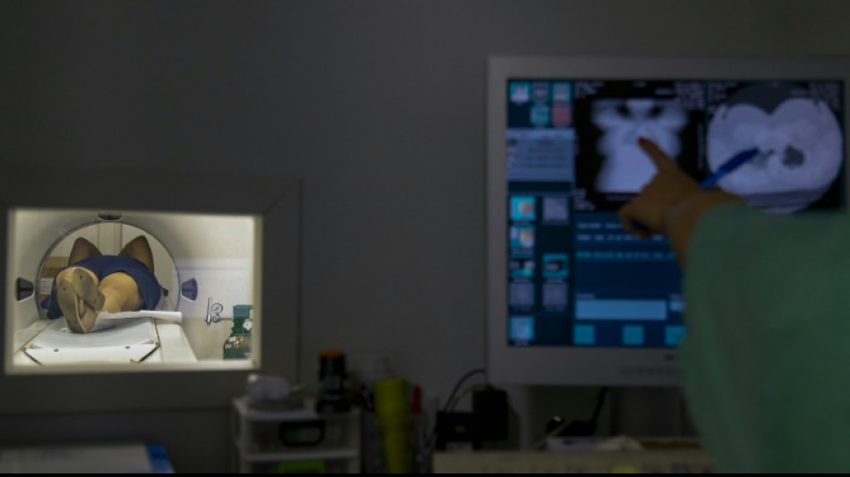 Kassen&auml;rzte-Chef warnt vor Praxis-Schlie&szlig;ungen wegen hoher Energiekosten