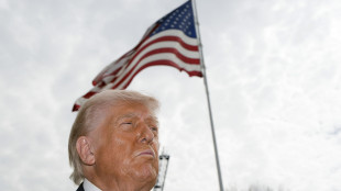 Trump, non credo l'Iran abbia messo mine nello stretto Hormuz