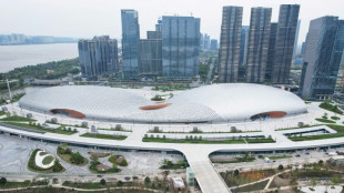 Les Jeux asiatiques pourraient &ecirc;tre report&eacute;s en raison du covid, selon un officiel