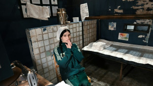 Pussy Riot co-founder back in prison cell -- at LA museum