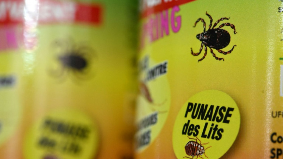 Punaises de lit: &agrave; Paris, des entreprises sp&eacute;cialis&eacute;es traquent la petite b&ecirc;te 