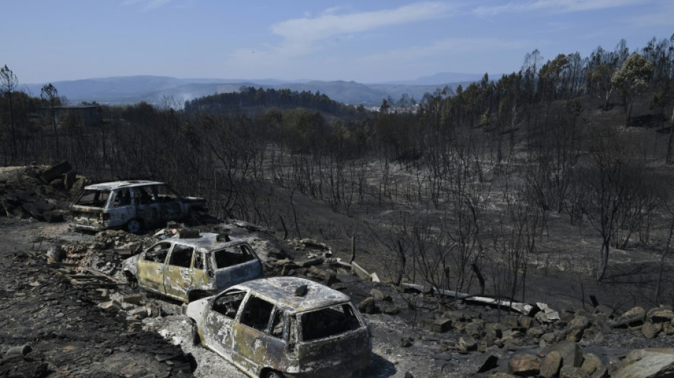 Waldbrand im Nordwesten Spaniens zerst&ouml;rt etwa 600 Hektar Land