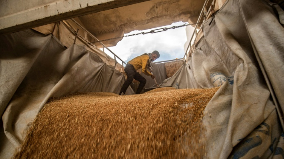 Syria's wheat war: drought fuels food crisis for 16 million