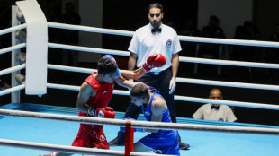 El jefe de la federaci&oacute;n iran&iacute; de boxeo, en Espa&ntilde;a por un torneo, decide no regresar a su pa&iacute;s