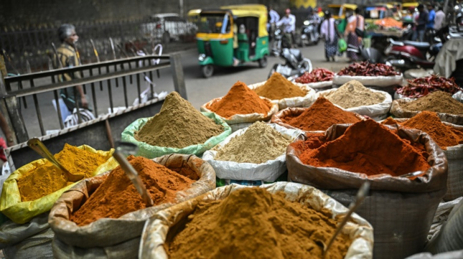  Agroalimentaire : &agrave; Paris, l'Inde affiche ses ambitions mondiales 