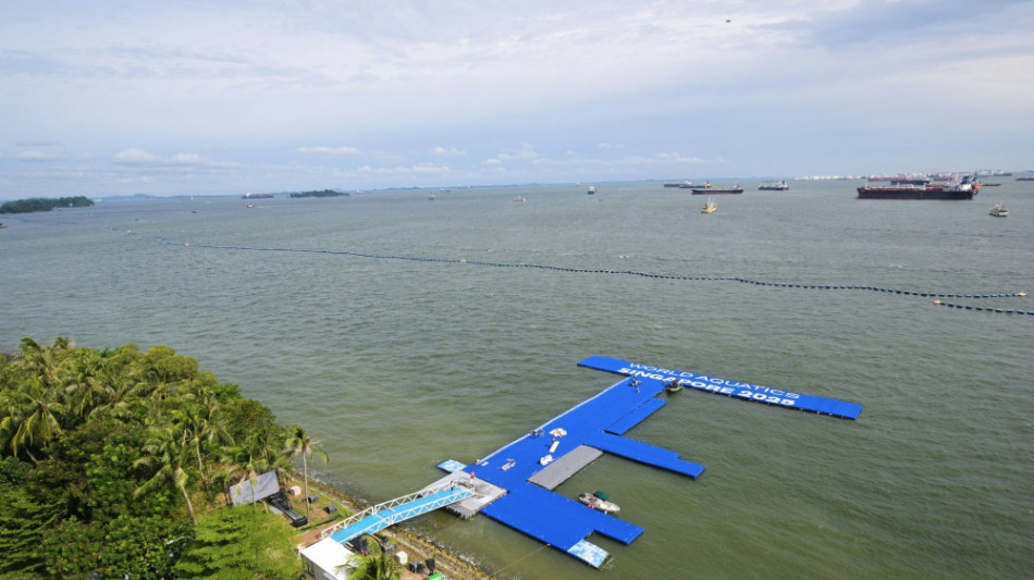 Schwimm-WM: Freiwasserrennen finden am Mittwoch statt