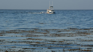 R&eacute;chauffement climatique: Under the Pole, chercheurs d'espoir en eaux profondes