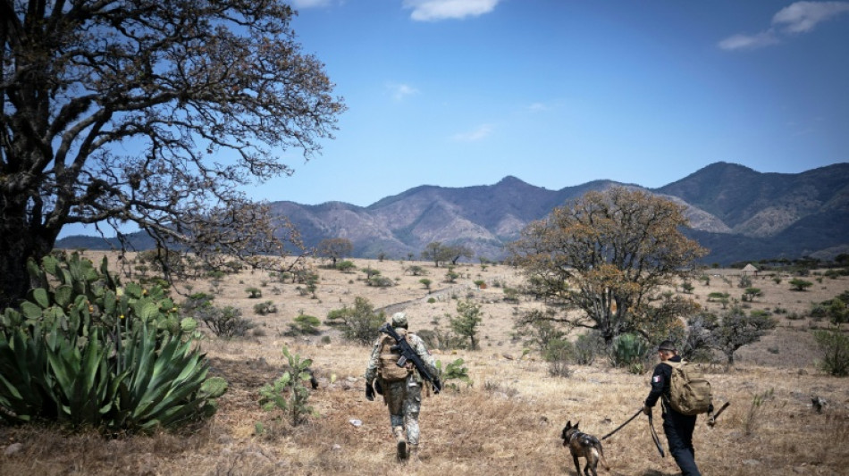  Using AI to help find Mexico's legions of missing children 