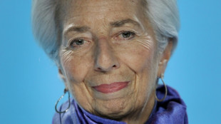 L'hiver s'annonce moins rude que pr&eacute;vu pour l'&eacute;conomie europ&eacute;enne