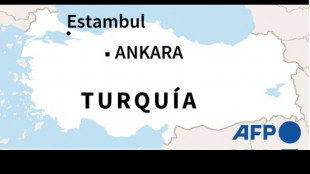 Un joven hiere con un cuchillo al menos a cinco personas en el jard&iacute;n de una mezquita en Turqu&iacute;a
