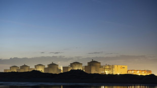 Quatre unit&eacute;s de la centrale nucl&eacute;aire de Gravelines &agrave; l'arr&ecirc;t &agrave; cause de m&eacute;duses