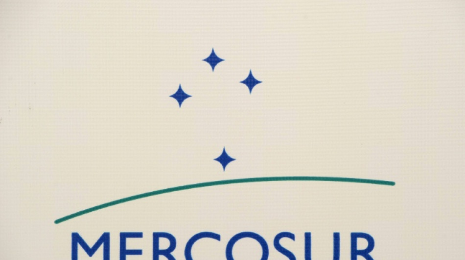  Wadephul nimmt an Mercosur-Gipfel in Paraguay teil 