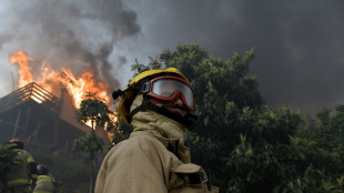 Chile ruft wegen Waldbr&auml;nden mit mindestens 19 Toten Notstand aus