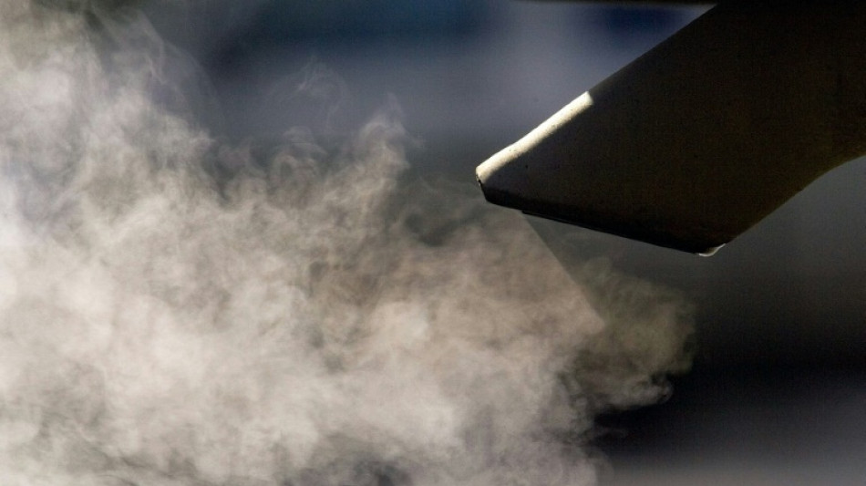 German prosecutors seek jail terms in VW 'dieselgate' trial