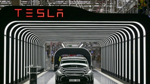 Tesla: Elon Musk licencie au moins 500 employ&eacute;s, selon un m&eacute;dia am&eacute;ricain 