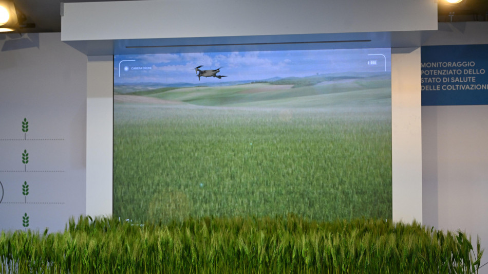  Corre l'agrifoodtech italiano, investiti 121 milioni nel 2025 (+18%) 