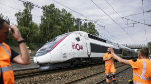 Vol de câbles en cuivre à Lille: le trafic TGV a "repris normalement" à 14H00