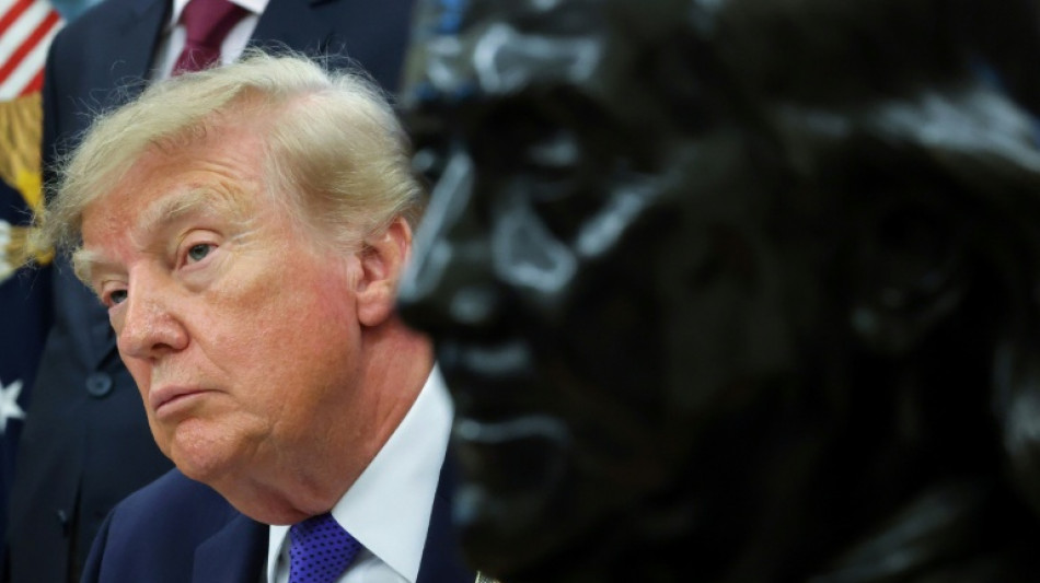  Slovenia sees surge in '.si' sites after Trump hypes 'super intelligence' 