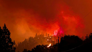80-J&auml;hrige stirbt bei heftigem Waldbrand in Kanada