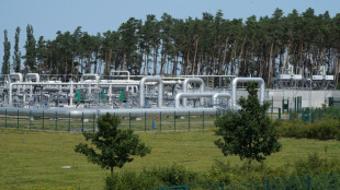 La UE acuerda plan de ahorro de gas ante reducci&oacute;n de suministro ruso