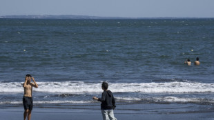Wetterbeh&ouml;rde: 1,3 Meter hohe Tsunamiwelle in Japan verzeichnet