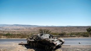 Diez muertos en dos ataques a&eacute;reos en Etiop&iacute;a, en la regi&oacute;n rebelde de Tigr&eacute;