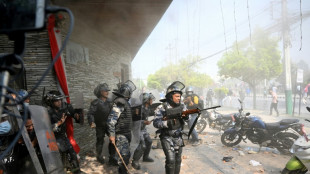 Nepal police clash with pro-monarchy demonstrators