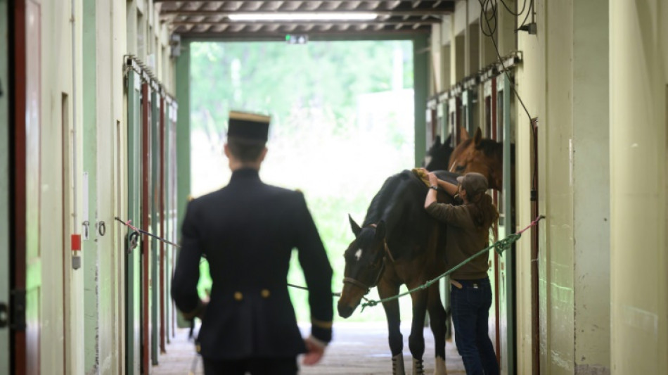 Au Cadre Noir de Saumur, 200 ans d'équitation à la française