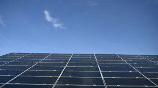 A l'Assemblée, un moratoire sur les éoliennes et panneaux solaires sème la zizanie