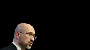 Ukrainischer Regierungschef wirft IWF mangelnde Unterst&uuml;tzung seines Landes vor