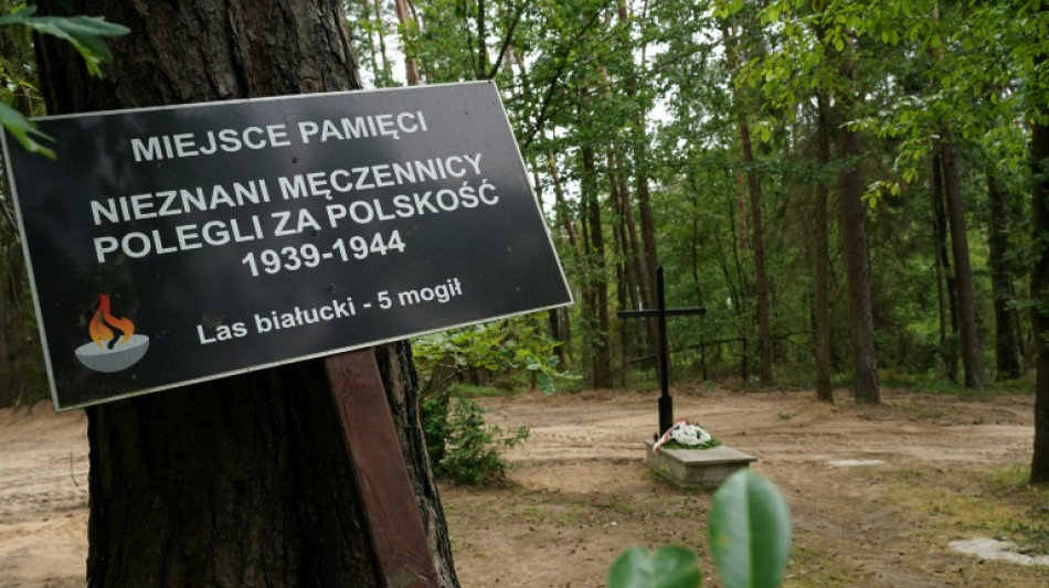 Remains of 8,000 Nazi war victims found in Poland