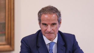 Aiea, la centrale di Chernobyl ha perso ogni fonte di alimentazione esterna