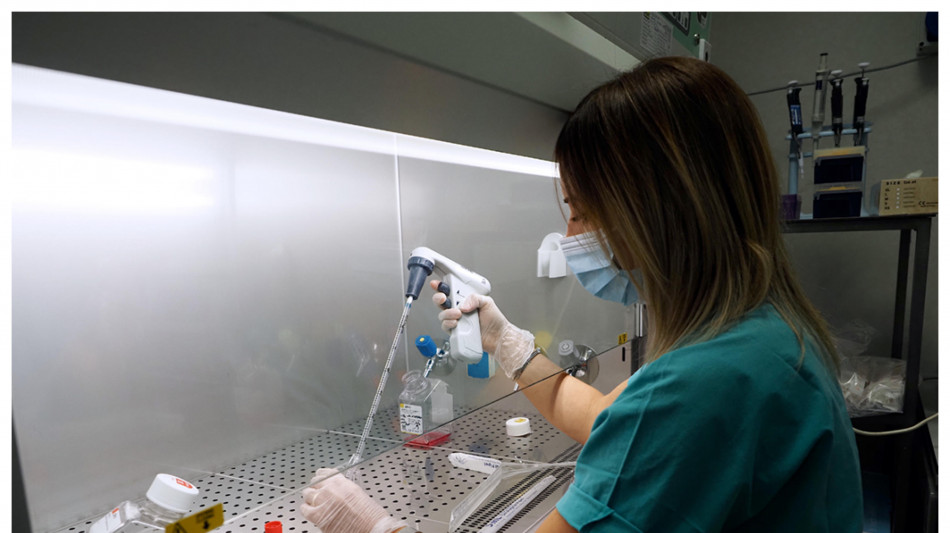  Nanoparticelle smart anti-tumore, aiutano le cellule immunitarie 