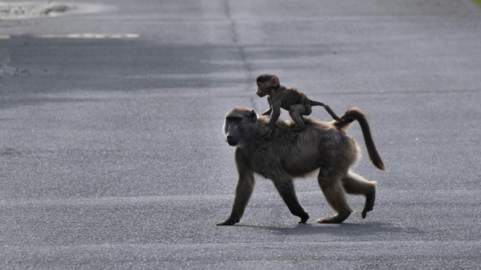 Las cifras que alarman a cient&iacute;ficos y agitan el debate en la COP16