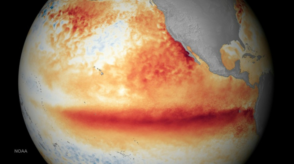  Artificial cloud brightening could tame El Nino, but with risks: study 