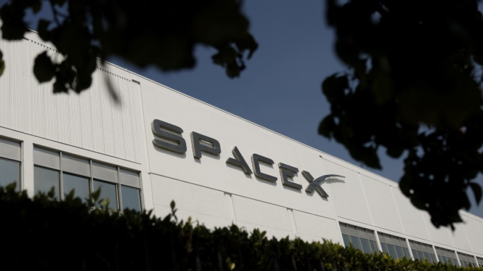  Musk's SpaceX helps fuel stock market gains 