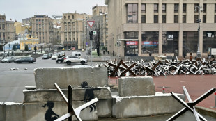 Ataque masivo de hackers rusos contra una subasta de Banksy en beneficio de Ucrania