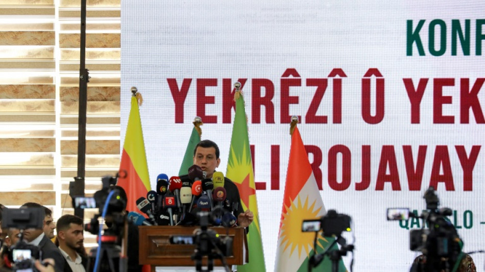 Kurdos de Siria piden la construcci&oacute;n de un Estado "democr&aacute;tico y descentralizado"