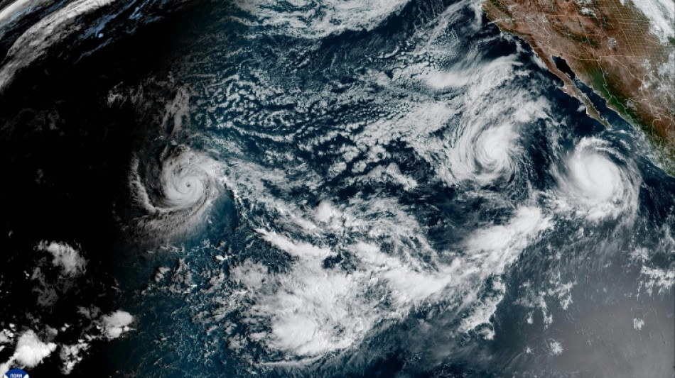  Hurricane Polo approaches Mexico, threatens severe damage 