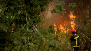 Wildfires overwhelm exhausted firefighters in France and Spain
