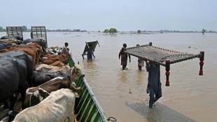 Environ 100.000 personnes &eacute;vacu&eacute;es apr&egrave;s des inondations dans l'Est du Pakistan