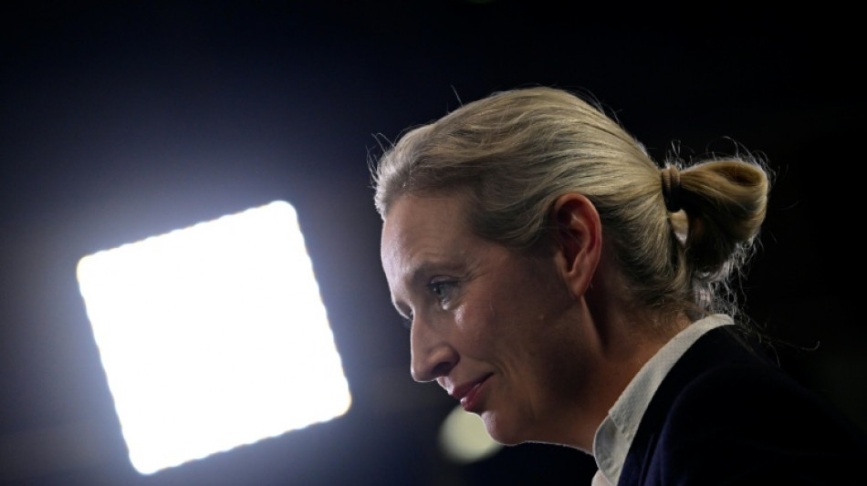  AfD-Parteitag geht mit Reden von Weidel und Chrupalla zu Ende 