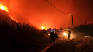 Turkey battles wildfires as heatwave grips Med