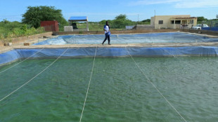 Au S&eacute;n&eacute;gal, l'aquaculture cherche son cap